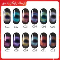 RoseMei Cat Eye Nail Gel 8020-MCE 15ml (Delivery in Tehran) RM8020-MCE